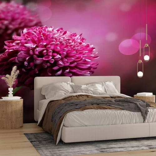 Fotobehang Dahlia's op macroschaal