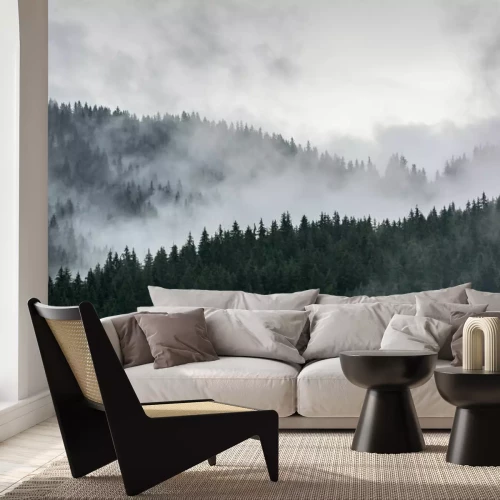 Fotobehang Mistig dennenboslandschap natuurbomen