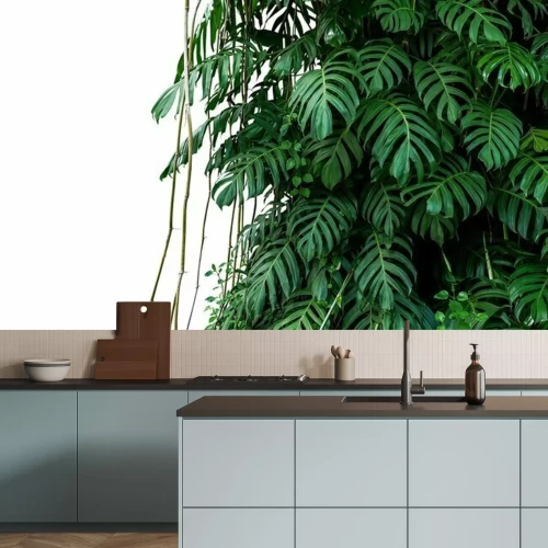 Fotobehang Monstera op een witte achtergrond