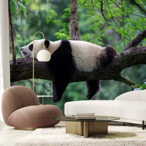 Fotobehang Beer in het bos