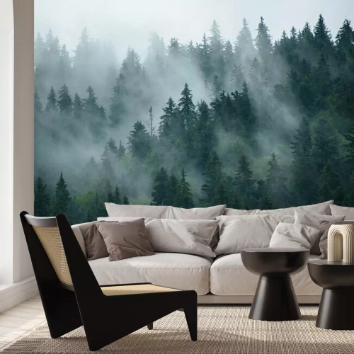 Fotobehang Zachte mist tussen de bomen