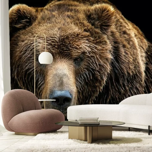 Fotobehang Natte bruine beer