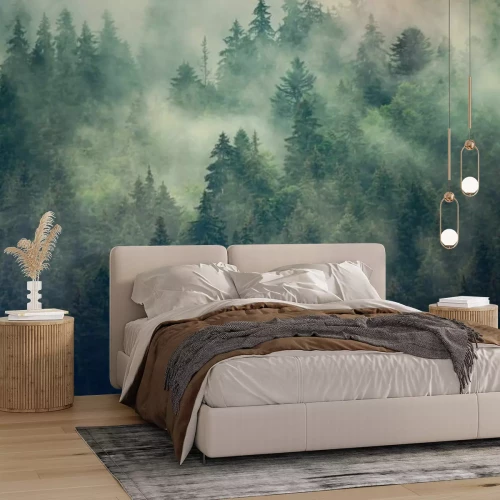 Fotobehang Een sparrenbos gehuld in ochtendmist