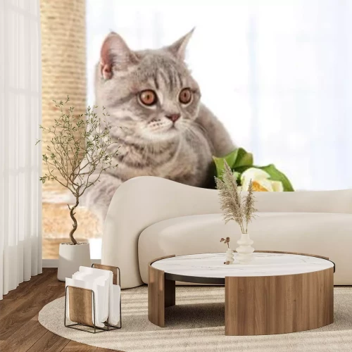 Fotobehang Grijze kat op een krabpaal