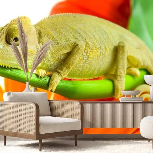 Sticker Kameleon op bloem.