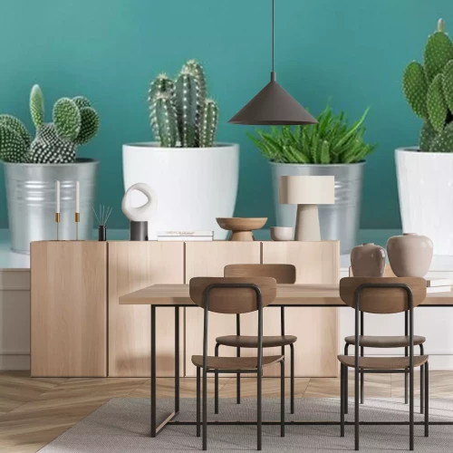 Sticker Moderne kamerinrichting. De inzameling van diverse ingemaakte installaties van het cactushuis op witte plank tegen pastelkleur turkoois kleurde muur. Cactus planten banner.