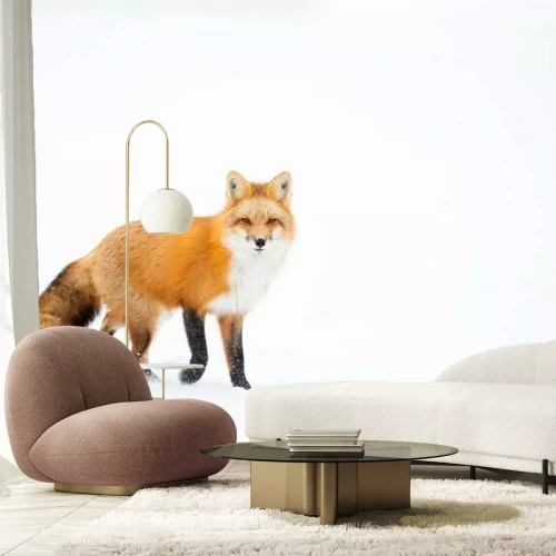 Sticker Vos op een witte achtergrond