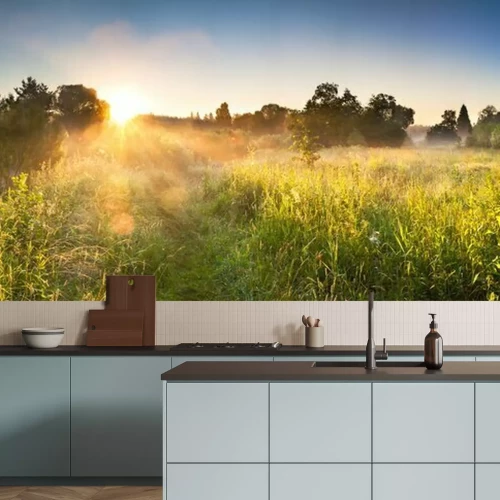 Fotobehang Weidebos en zonsopgang