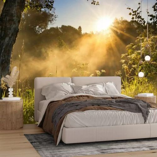 Fotobehang Ochtendweide in de stralen van de zonsopgang