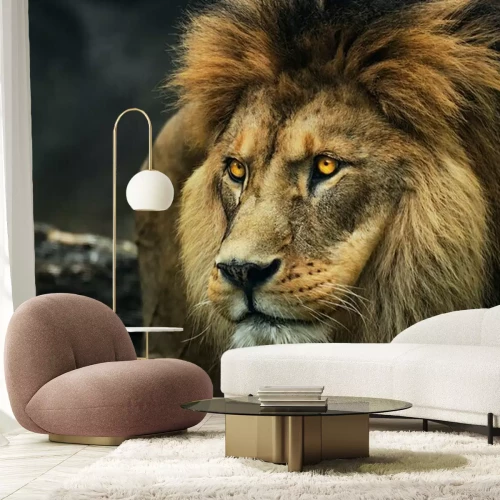 Fotobehang Portret van een Berberleeuw