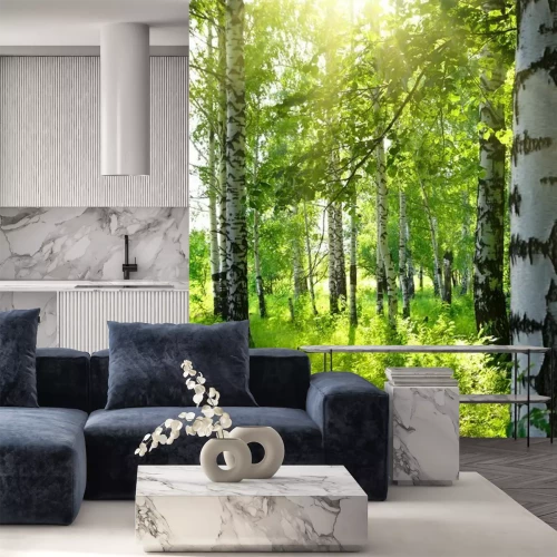 Fotobehang Zonnestralen in een berkenbosje