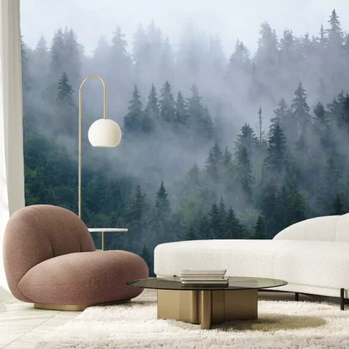 Fotobehang Naaldbos en mist