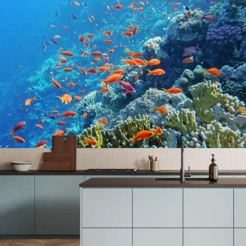 Fotobehang Onderwaterwereld van de zee