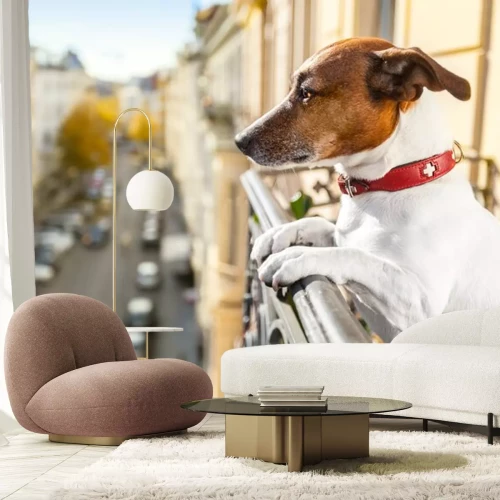 Sticker nieuwsgierig kijken hond