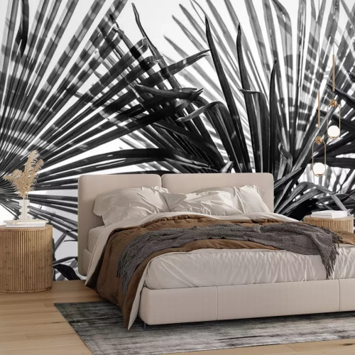 Fotobehang Donkere palmbladeren