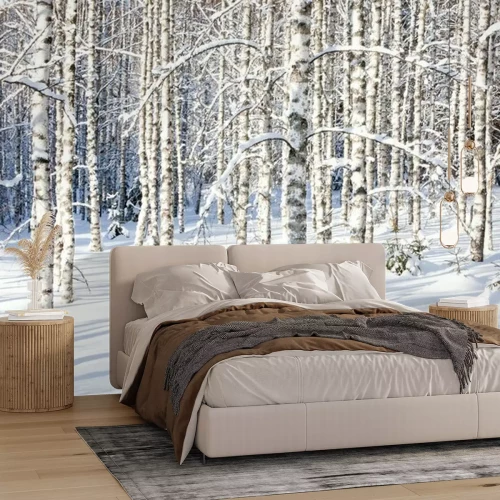 Fotobehang Berken in de winter