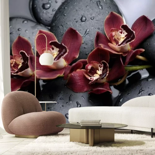 Fotobehang Orchideeën in pastelkleuren tegen een achtergrond van stenen