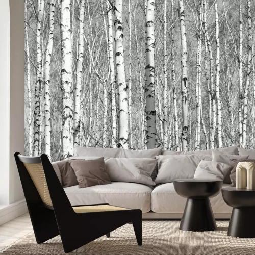 Fotobehang Dicht berkenbos