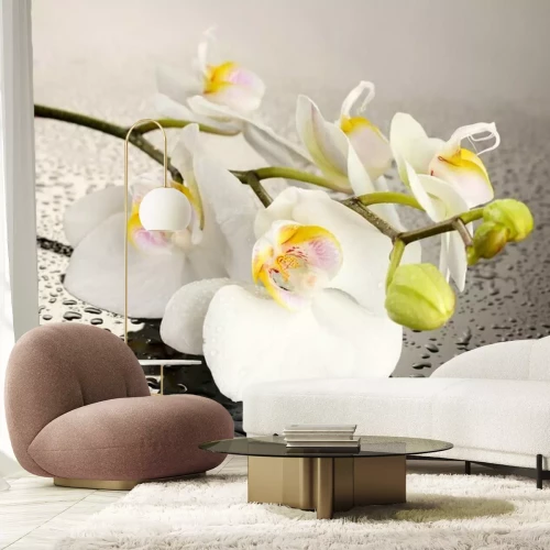 Fotobehang Witte bloem met waterdruppels