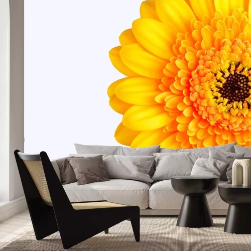 Sticker Grote gele bloem op witte achtergrond