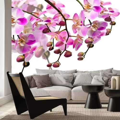 Sticker Bloemen met knoppen op takken