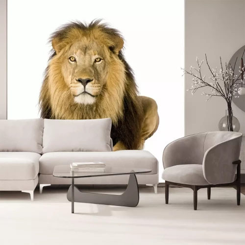 Sticker Leeuw majestueuze leeuw met gouden ogen