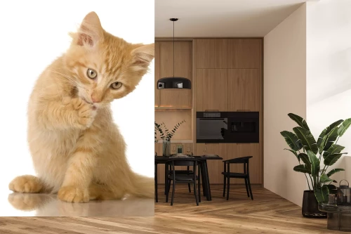 Visualisatie van het product