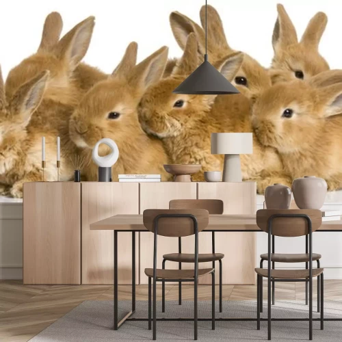 Sticker groupe de lapereaux