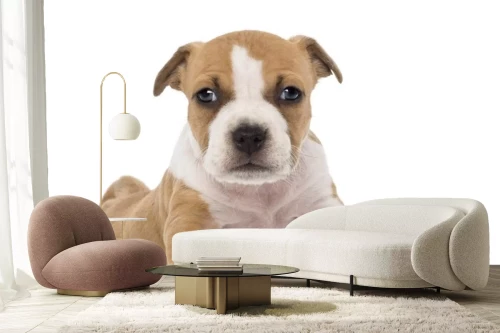 Visualisatie van het product