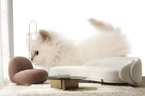 Visualisatie van het product