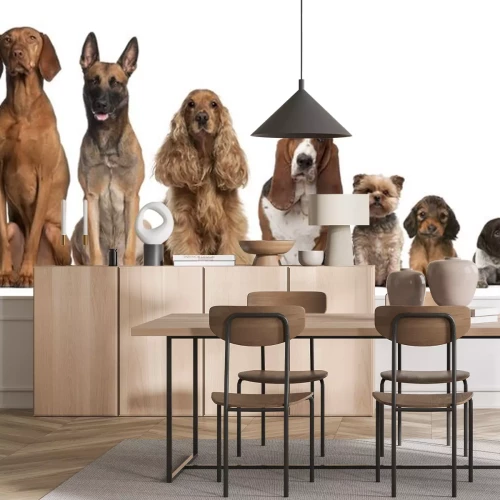 Sticker Groep van bruine honden zitten, van groter naar kleiner