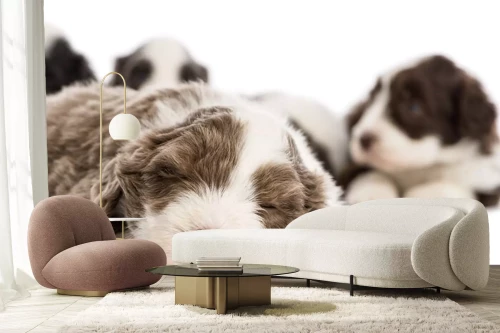 Visualisatie van het product