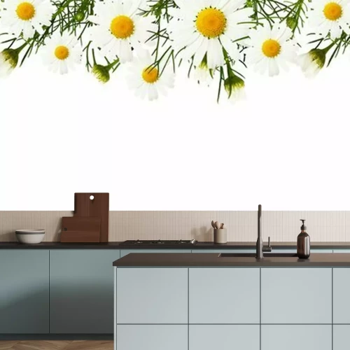 Fotobehang Voorjaars madeliefjes