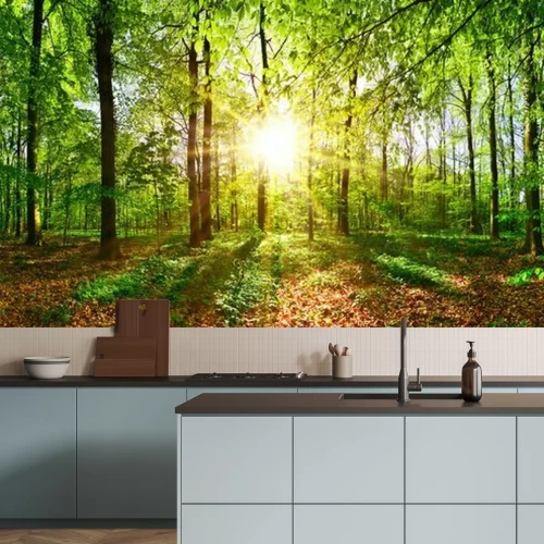 Fotobehang Zomerdag in een bos