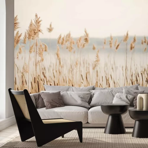 Fotobehang Decoratief gras bij het meer