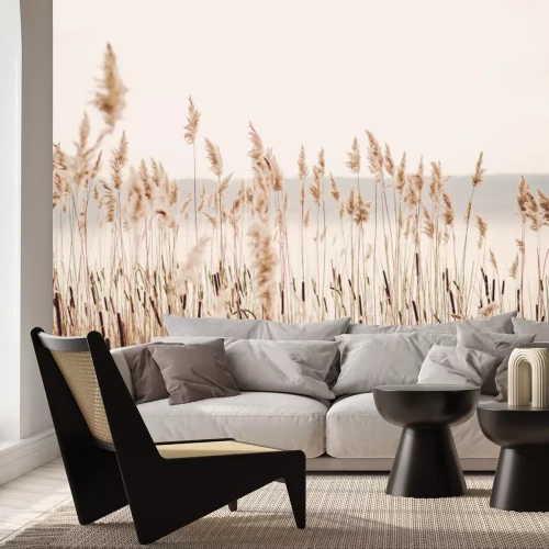 Fotobehang Lakeside met gras