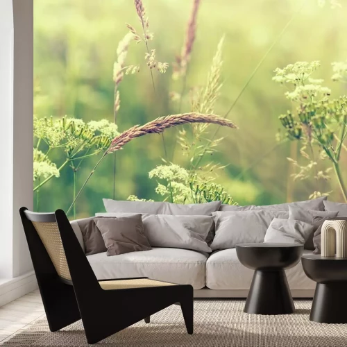 Fotobehang Natuur en bloemrijke weide