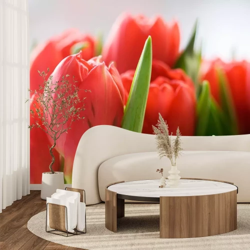 Sticker Zalmkleurige bloemen in close-up