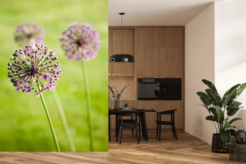 Visualisatie van het product