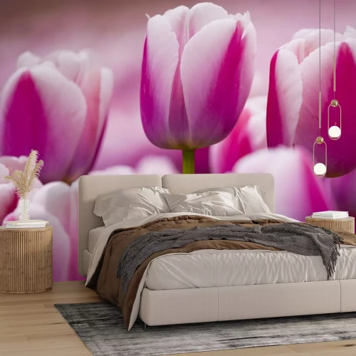 Sticker Bloemen met tweekleurige knoppen