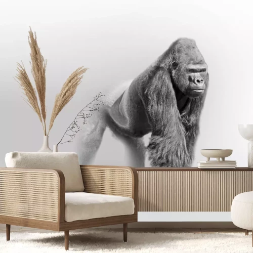 Sticker Zwart-wit tekening van een mannelijke gorilla