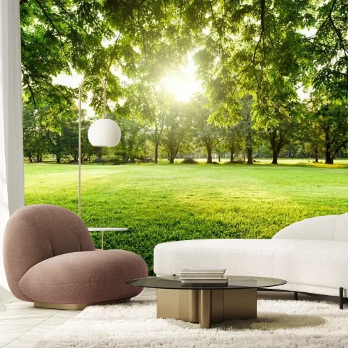 Fotobehang Groene weide in het park