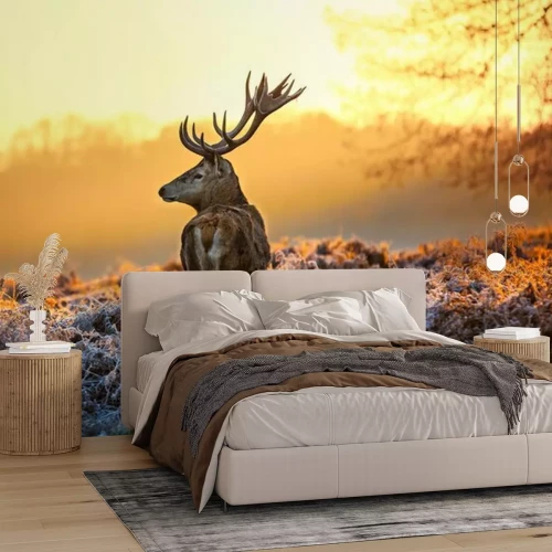 Fotobehang Herten bij zonsopgang