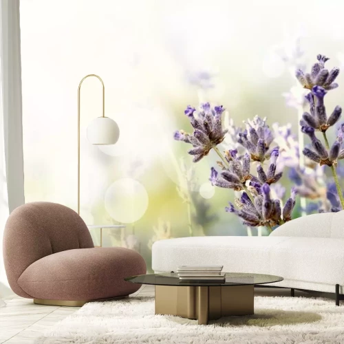 Sticker Veldbloemen op een onscherpe achtergrond