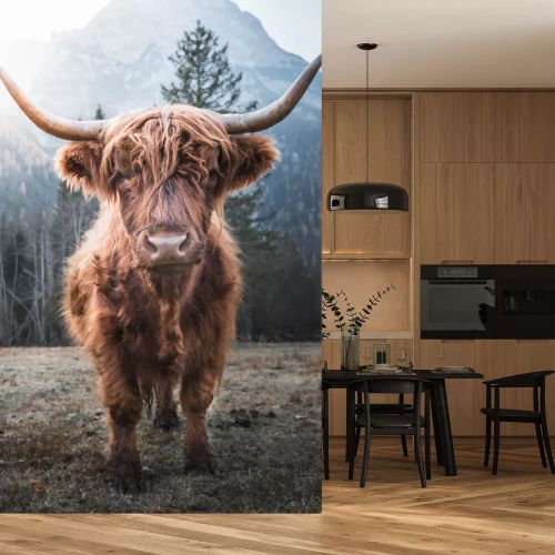 Fotobehang Schotse koe aan de voet van de bergen