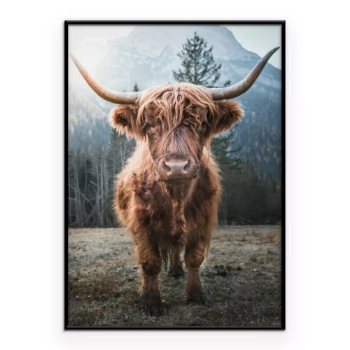 Poster Schotse koe aan de voet van de bergen