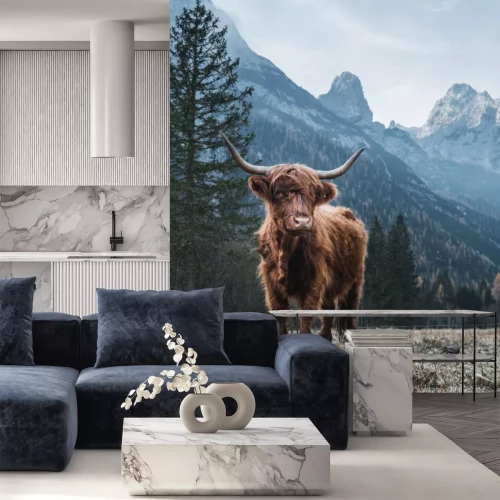 Fotobehang Schotse hooglandkoe in de bergen