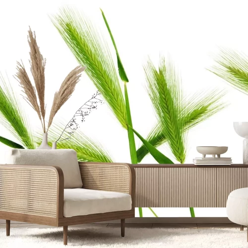 Sticker Groene aren van jong graan