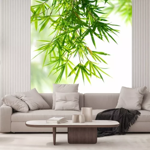 Fotobehang Bamboe bladeren in zonnestralen