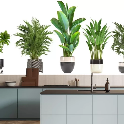 Sticker verzameling sierplanten in potten